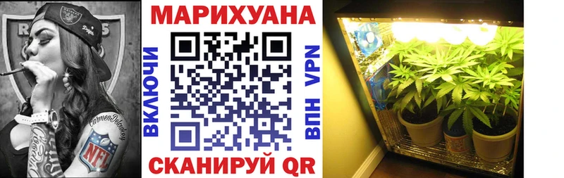 купить   Протвино  Бошки Шишки OG Kush 